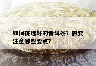 如何挑选好的普洱茶？需要注意哪些要点？