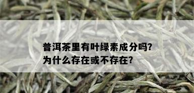 普洱茶里有叶绿素成分吗？为什么存在或不存在？