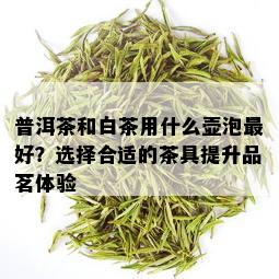 普洱茶和白茶用什么壶泡更好？选择合适的茶具提升品茗体验