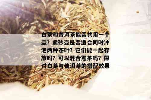 白茶和普洱茶能否共用一个壶？紫砂壶是否适合同时冲泡两种茶叶？它们能一起存放吗？可以混合煮茶吗？探讨白茶与普洱茶的搭配效果。