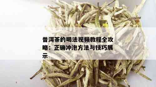 普洱茶的喝法视频教程全攻略：正确冲泡方法与技巧展示