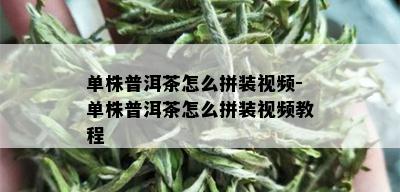 单株普洱茶怎么拼装视频-单株普洱茶怎么拼装视频教程