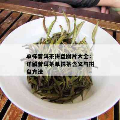 单株普洱茶拼盘图片大全：详解普洱茶单株茶含义与拼盘方法