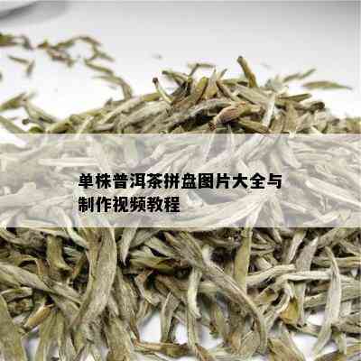 单株普洱茶拼盘图片大全与制作视频教程