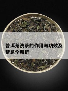 普洱茶洗茶的作用与功效及禁忌全解析