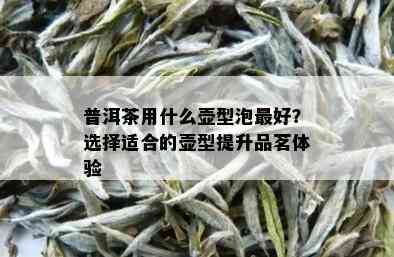 普洱茶用什么壶型泡更好？选择适合的壶型提升品茗体验