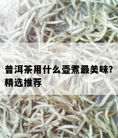 普洱茶用什么壶煮最美味？精选推荐