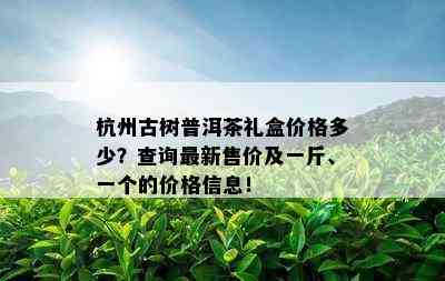 杭州古树普洱茶礼盒价格多少？查询最新售价及一斤、一个的价格信息！