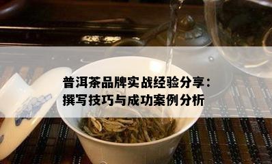 普洱茶品牌实战经验分享：撰写技巧与成功案例分析