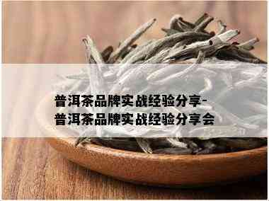 普洱茶品牌实战经验分享-普洱茶品牌实战经验分享会