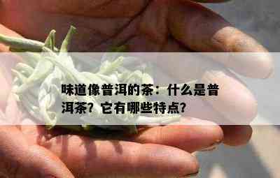 味道像普洱的茶：什么是普洱茶？它有哪些特点？