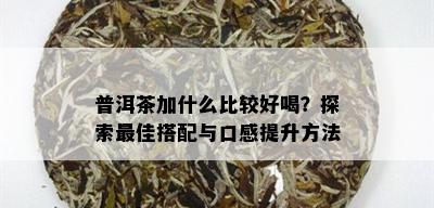 普洱茶加什么比较好喝？探索更佳搭配与口感提升方法