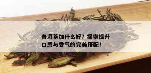 普洱茶加什么好？探索提升口感与香气的完美搭配！