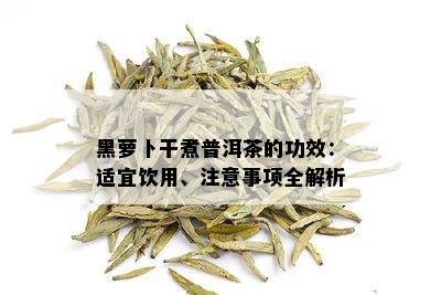 黑萝卜干煮普洱茶的功效：适宜饮用、注意事项全解析