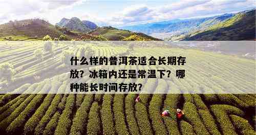 什么样的普洱茶适合长期存放？冰箱内还是常温下？哪种能长时间存放？