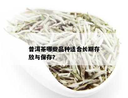 普洱茶哪些品种适合长期存放与保存？