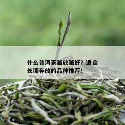 什么普洱茶越放越好？适合长期存放的品种推荐！