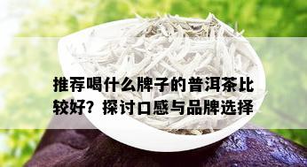 推荐喝什么牌子的普洱茶比较好？探讨口感与品牌选择