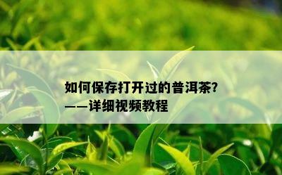 如何保存打开过的普洱茶？——详细视频教程