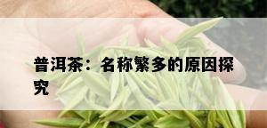 普洱茶：名称繁多的原因探究