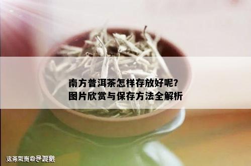 南方普洱茶怎样存放好呢？图片欣赏与保存方法全解析