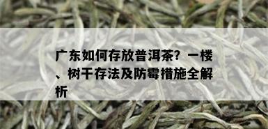 广东如何存放普洱茶？一楼、树干存法及防霉措施全解析