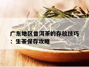 广东地区普洱茶的存放技巧：生茶保存攻略