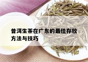 普洱生茶在广东的更佳存放方法与技巧