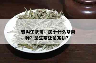 普洱生茶饼：属于什么茶类、种？是生茶还是茶饼？