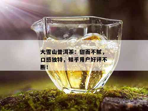 大雪山普洱茶：甜而不腻，口感独特，知乎用户好评不断！