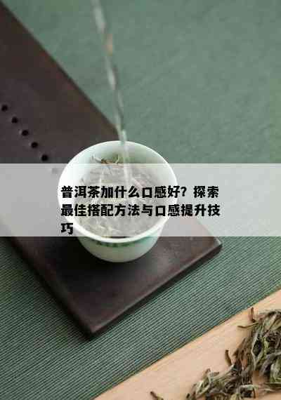 普洱茶加什么口感好？探索更佳搭配方法与口感提升技巧