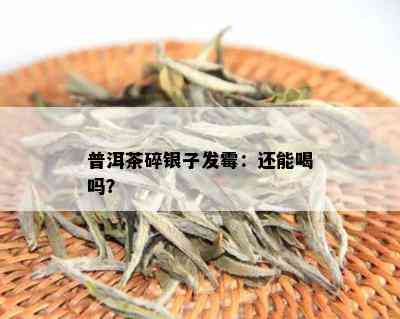 普洱茶碎银子发霉：还能喝吗？