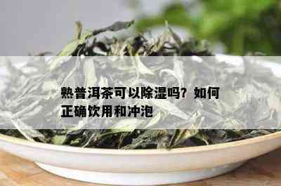 熟普洱茶可以除湿吗？如何正确饮用和冲泡