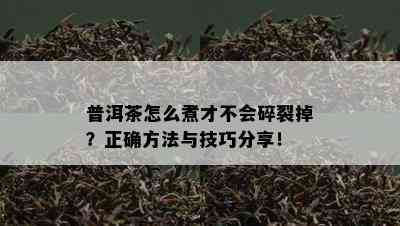 普洱茶怎么煮才不会碎裂掉？正确方法与技巧分享！