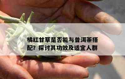 橘红甘草是否能与普洱茶搭配？探讨其功效及适宜人群