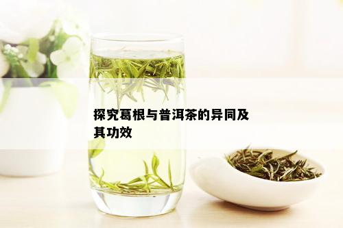 探究葛根与普洱茶的异同及其功效