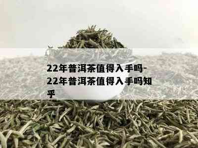 22年普洱茶值得入手吗-22年普洱茶值得入手吗知乎