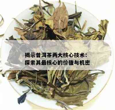 揭示普洱茶两大核心技术：探索其最核心的价值与机密