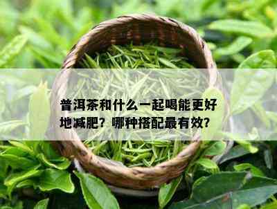 普洱茶和什么一起喝能更好地减肥？哪种搭配最有效？