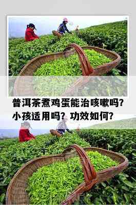 普洱茶煮鸡蛋能治咳嗽吗？小孩适用吗？功效如何？