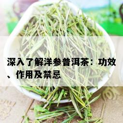 深入了解洋参普洱茶：功效、作用及禁忌