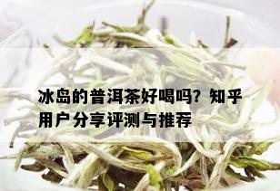 冰岛的普洱茶好喝吗？知乎用户分享评测与推荐