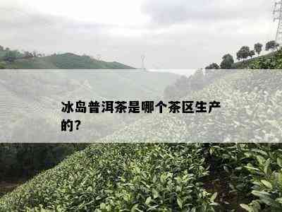 冰岛普洱茶是哪个茶区生产的?