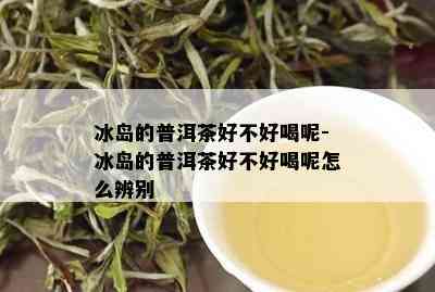 冰岛的普洱茶好不好喝呢-冰岛的普洱茶好不好喝呢怎么辨别