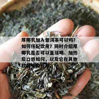 厚椰乳加入普洱茶可以吗？如何搭配饮用？同时介绍厚椰乳是否可以直接喝、加热后口感如何，以及它在其他饮品中的应用。