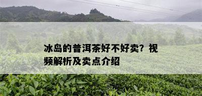 冰岛的普洱茶好不好卖？视频解析及卖点介绍