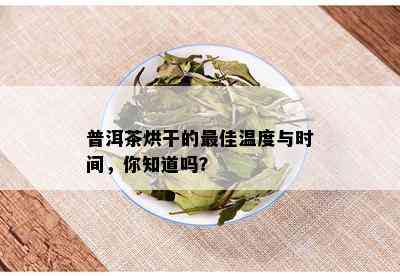 普洱茶烘干的更佳温度与时间，你知道吗？