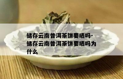 储存云南普洱茶饼要晒吗-储存云南普洱茶饼要晒吗为什么