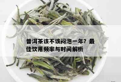 普洱茶该不该闷泡一年？更佳饮用频率与时间解析