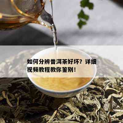 如何分辨普洱茶好坏？详细视频教程教你鉴别！